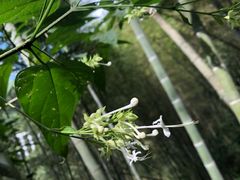 -千泷沟大瀑布旅游区