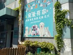 -宠爱有家宠物店(环镇北路店)