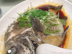 -大东海海鲜酒楼(渔人码头总店)