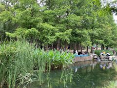 -白水寺森林公园