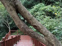 -太湖源风景区
