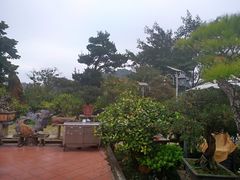 -绿华园休闲山庄