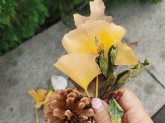 -汤品小厨·海鲜·烧烤·家常菜