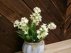 -左舞和风屋便当(金地店)