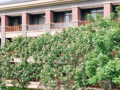 -成都安仁福朋喜来登酒店