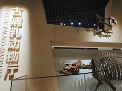 -国家自然博物馆