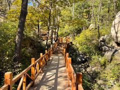 -大岭沟猕猴桃谷风景区