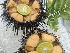 -日月昇渔家菜·海肠捞饭·大连海鲜(星海公园店)