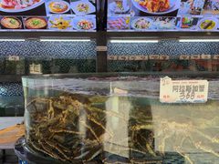 -顺德了能馆(虎门店)