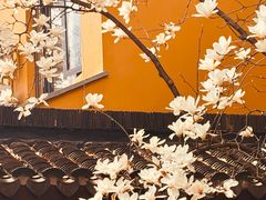 -龙华寺