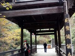 -石台牯牛降景区
