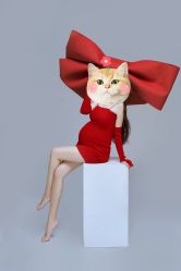 -十孕纪高端孕妇亲子摄影