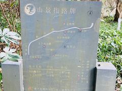 -九曜山