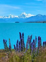 -美肤盾祛痘·问题肌头疗管理中心