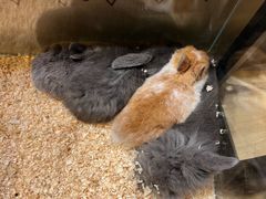 -天河领展广场