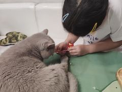 -小时光咖啡馆(北锣鼓巷店)