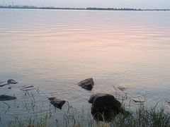 -漕湖湿地公园