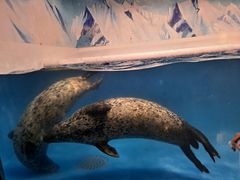-成都浩海立方海洋公园