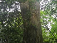 -东天目山风景区
