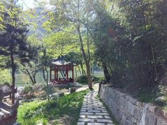 -秦岭终南山世界地质公园翠华山景区