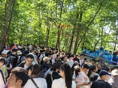 -帽儿山风景区