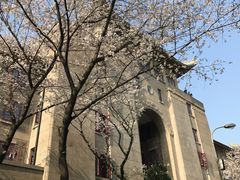 -武汉大学-樱园