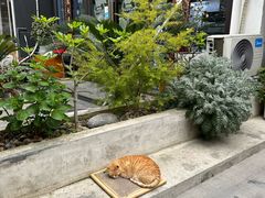 -知亘茶食