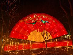 -南宫五洲植物乐园