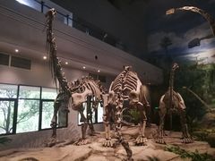 -自贡恐龙博物馆