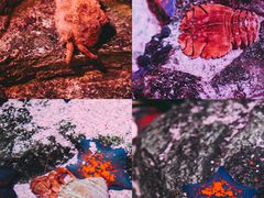 -沈阳海洋探索中心