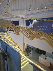 -石家庄苏亚美联臣医疗美容医院