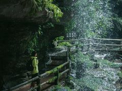-碧峰峡风景区