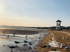 -老虎石海上公园