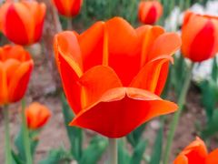 -玄武湖景区-情侣园游乐场