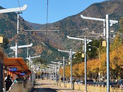 -国家植物园(地铁站)