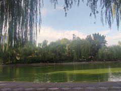 -团结湖公园