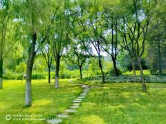 -莲花池公园