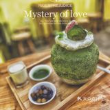 成都～吃冰小达人，绝绝子