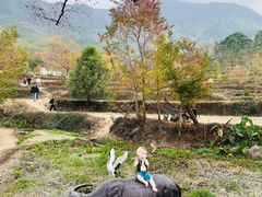 -塔川景区