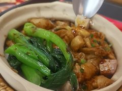 -华记煲仔华·煲仔饭(三元里万科里店)