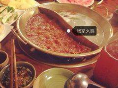 -杨家火锅(国美店)