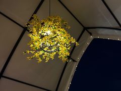 -火福·天湖阁大闸蟹博物馆主题餐厅(浅水湾店)