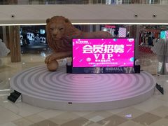 -棕榈MALL