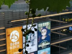 -思训家卡耐基中国口才培训(渝中校区)