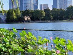 -尚贤河湿地