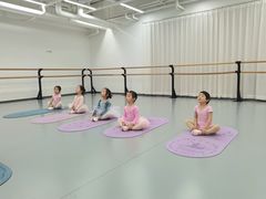 -中央芭蕾舞团·中芭艺蕾(酒仙桥明星校区)