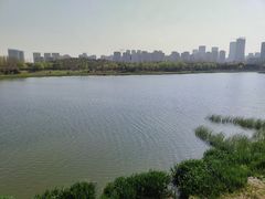 -滨湖塘西河公园