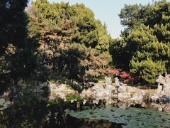 -叶家花园