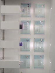 -贞禾医美·连锁