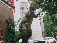 -火肆高麗火盆
